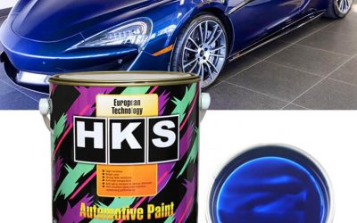 Auto Painting Excellence: SYBON's 20+ Years of Quality and Partnership Opportunities